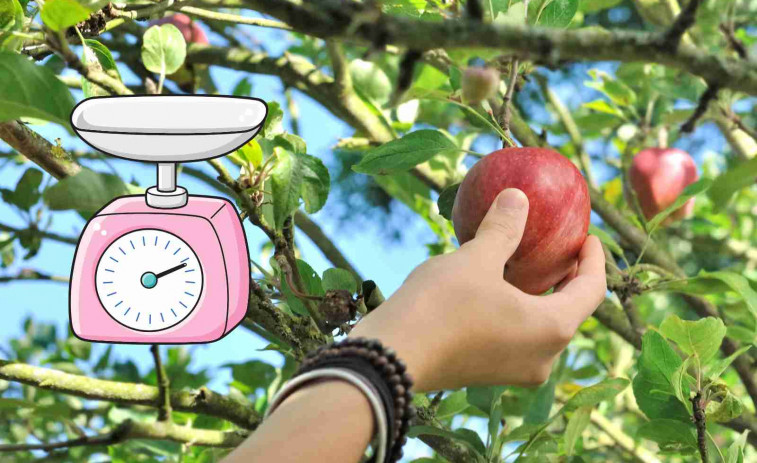 Crean una pulsera para controlar los kilos de fruta que recoge cada trabajador en el campo