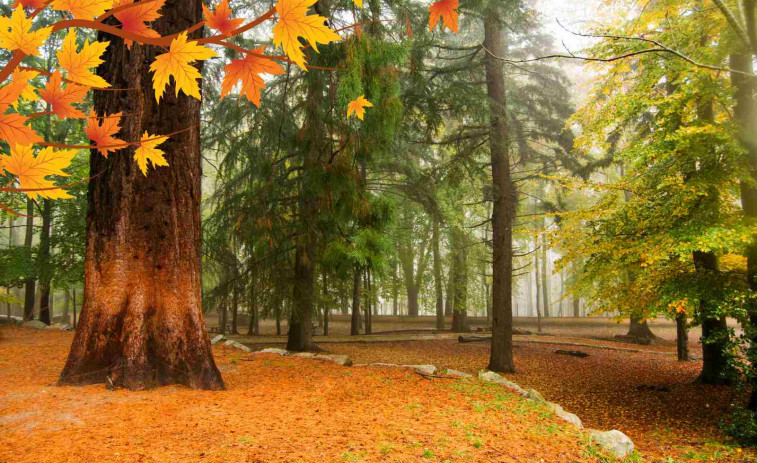 Descubre los paisajes más impresionantes de Catalunya en otoño