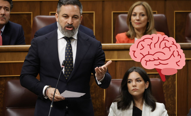 Un estudio demuestra que los votantes de derecha tienen el cerebro diferente