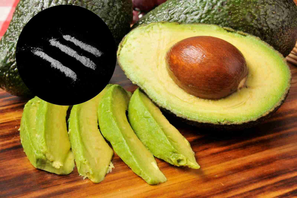 Aguacagtes cocaina