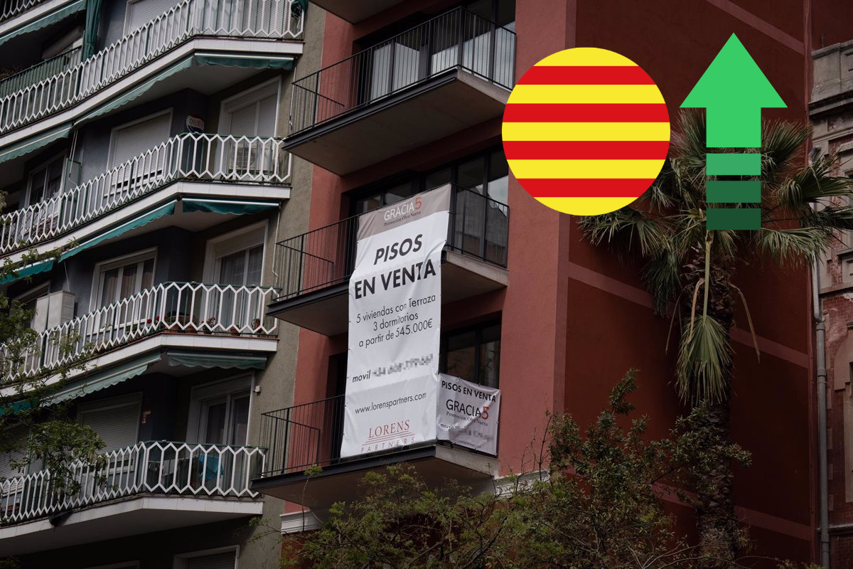 Catalunyapress compravendapisosjul24