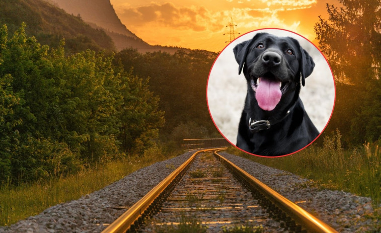 Una mujer muere atropellada por un tren mientras paseaba a su perro sin correa