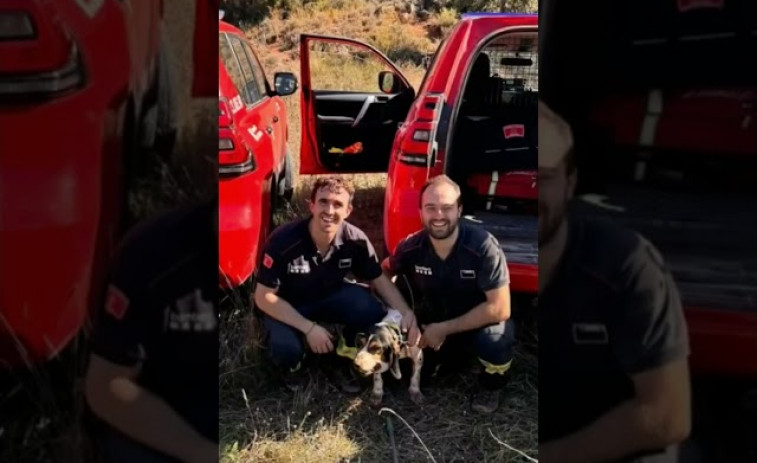 VÍDEO: Bombers rescatan a una perra en Alòs de Balaguer