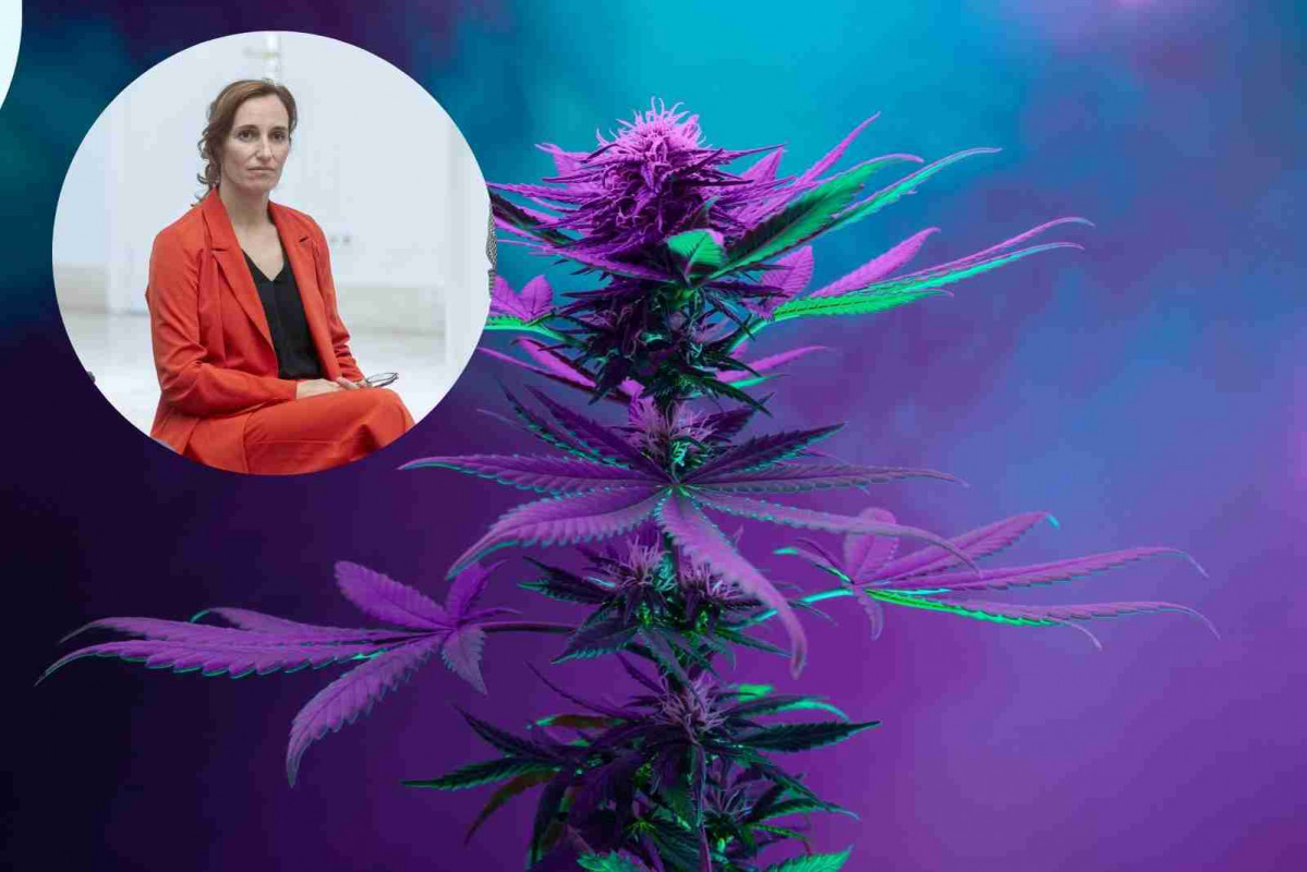 Mónica García Cannabis