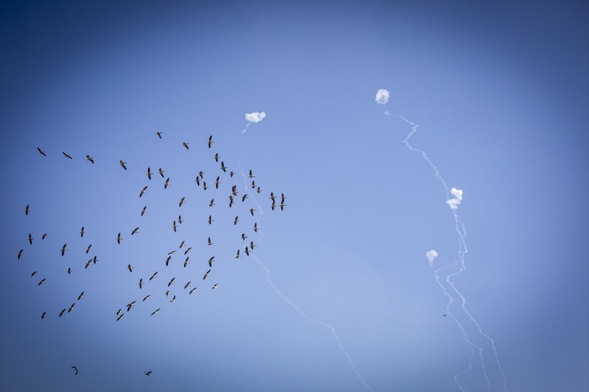 EuropaPress 6234774 25 september 2024 israel zichron yaakov pelicans fly under iron dome