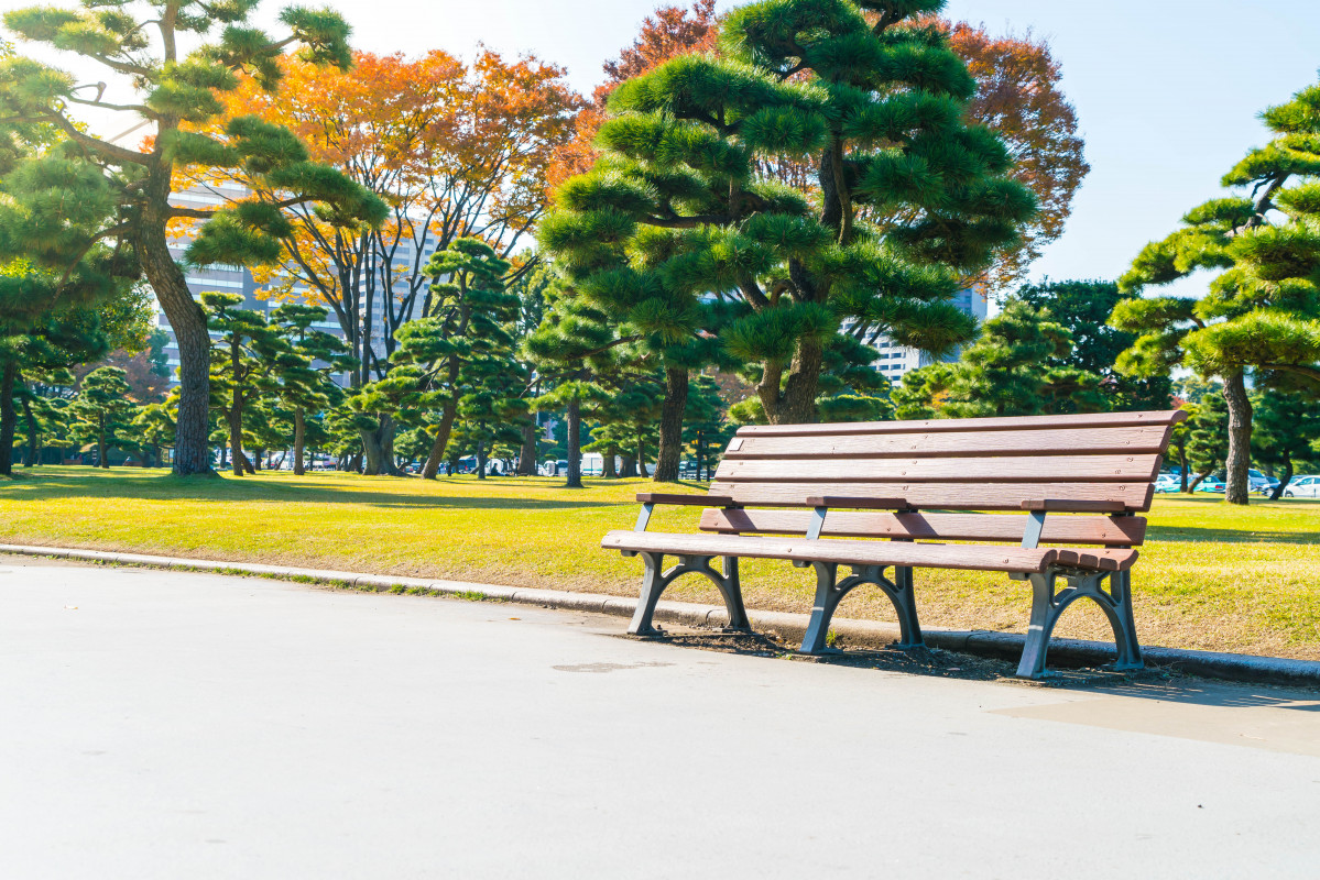 Bench autumn park