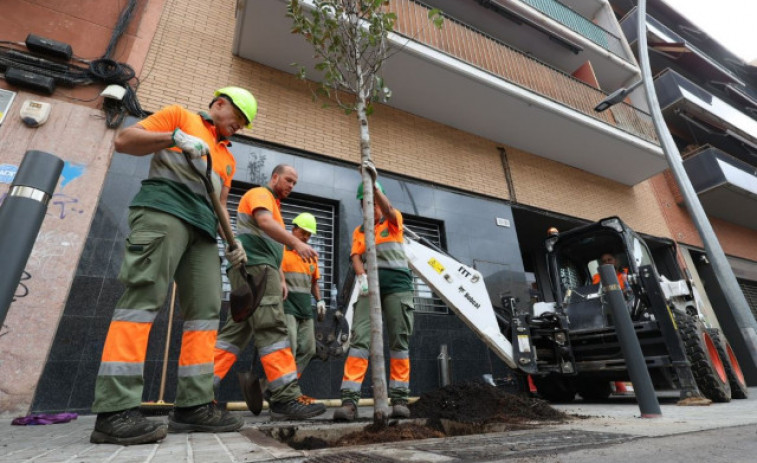 L'Hospitalet comienza la mayor plantación de árboles de su historia