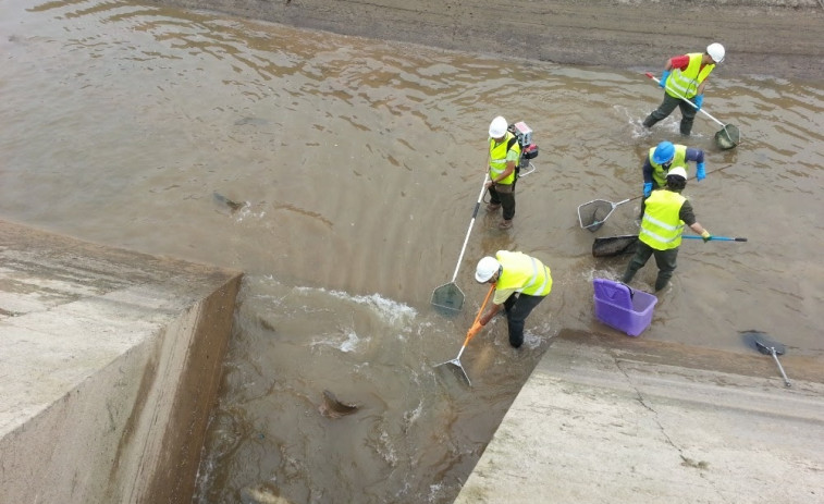 Endesa inicia el vaciado periódico de los canales de Balaguer, Térmens, Lleida y Seròs