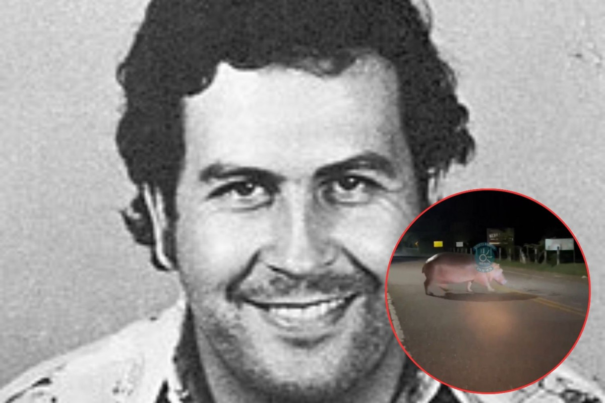 Pablo escobar