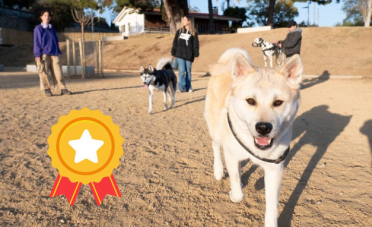 Mataró, premiada por sus políticas de Bienestar Animal