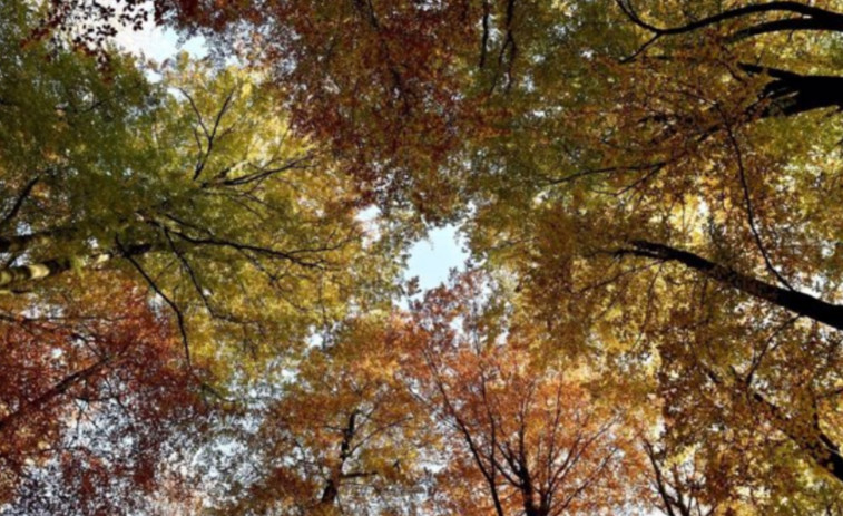 Previsión del tiempo en Catalunya: 14 de octubre, lunes de tiempo alterno y lluvia con barro