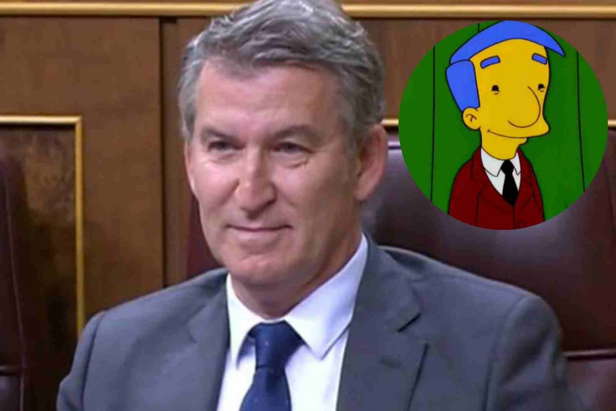 Feijóo Milhouse