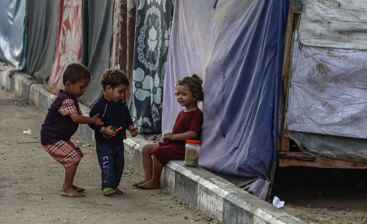 Los perros se están comiendo a los muertos que hay en las calles de Gaza