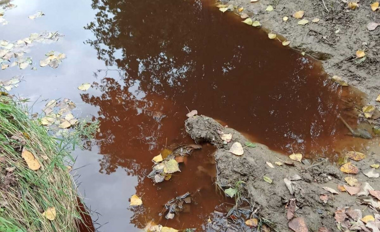 Ecologistas alertan de un vertido de purines en Manlleu y exigen menos mataderos