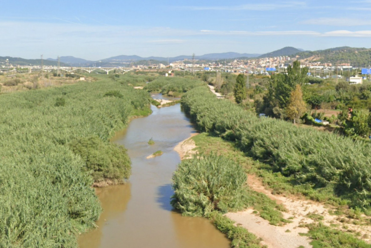 Catalunyapress crescudarius