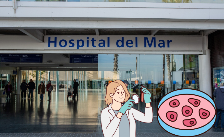 El Hospital del Mar de Barcelona coordinará una iniciativa europea de desarrollo células madre