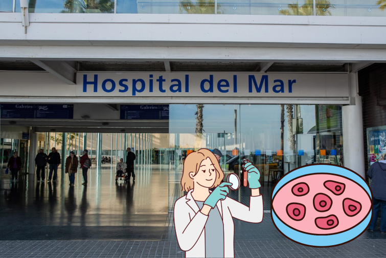 El Hospital del Mar de Barcelona coordinará una iniciativa europea de desarrollo células madre