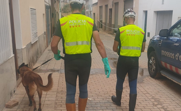 Tres perros de los Mossos d'Esquadra se unen al equipo de búsqueda de desaparecidos en Valencia