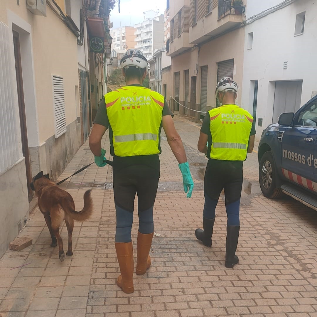 EuropaPress 6327148 unidad canina mossos desquadra xiva valencia