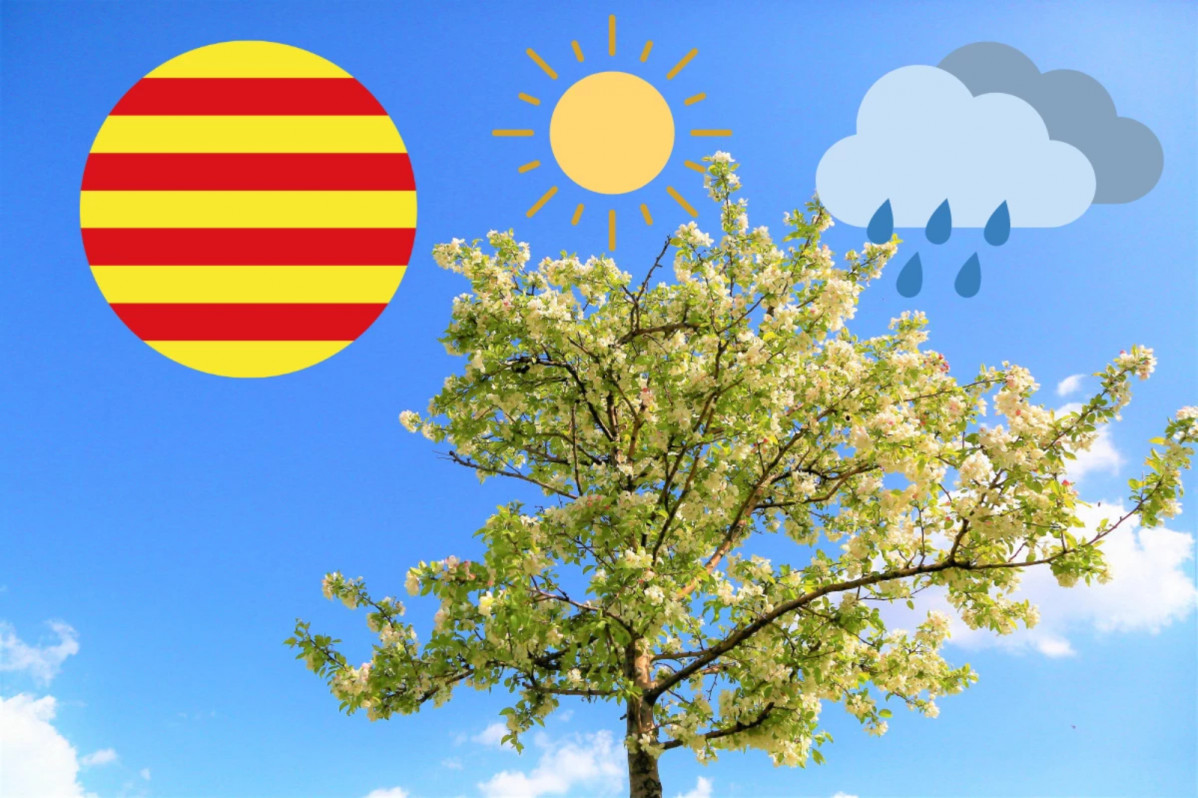 Catalunyapress temps23oct24