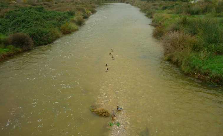 VÍDEO: El río Foix vuelve a tener agua después de años de sequía