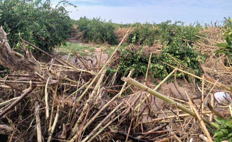 El monumental enfado de los agricultores valencianos: 