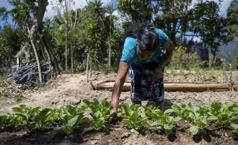 Acción contra el Hambre apuesta por la ganadería regenerativa para combatir la desnutrición