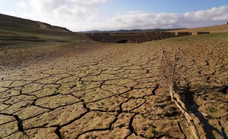 Las propuestas de los expertos para abordar el cambio climático en el Mediterráneo