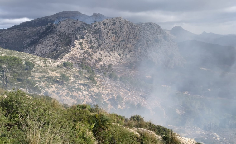 El incendio forestal de Andratx quema unas 50 hectáreas