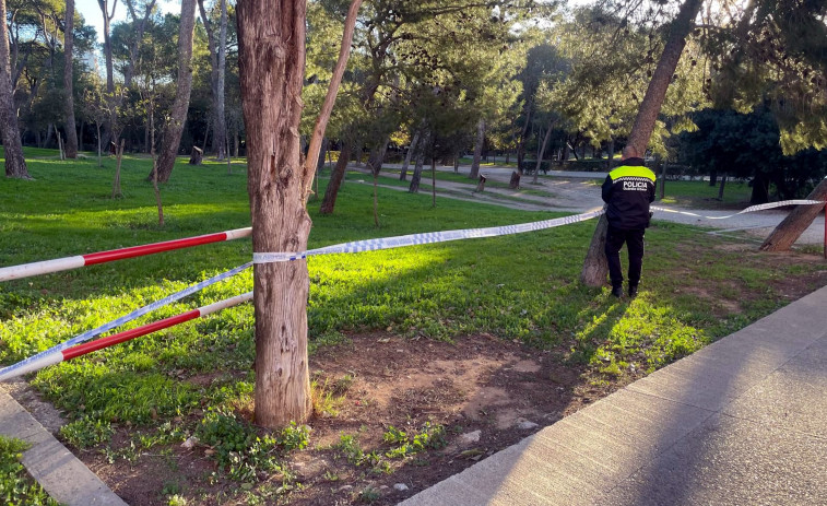 ¡El viento arrasa Figueres! Cristales rotos y un coche destrozado por un árbol