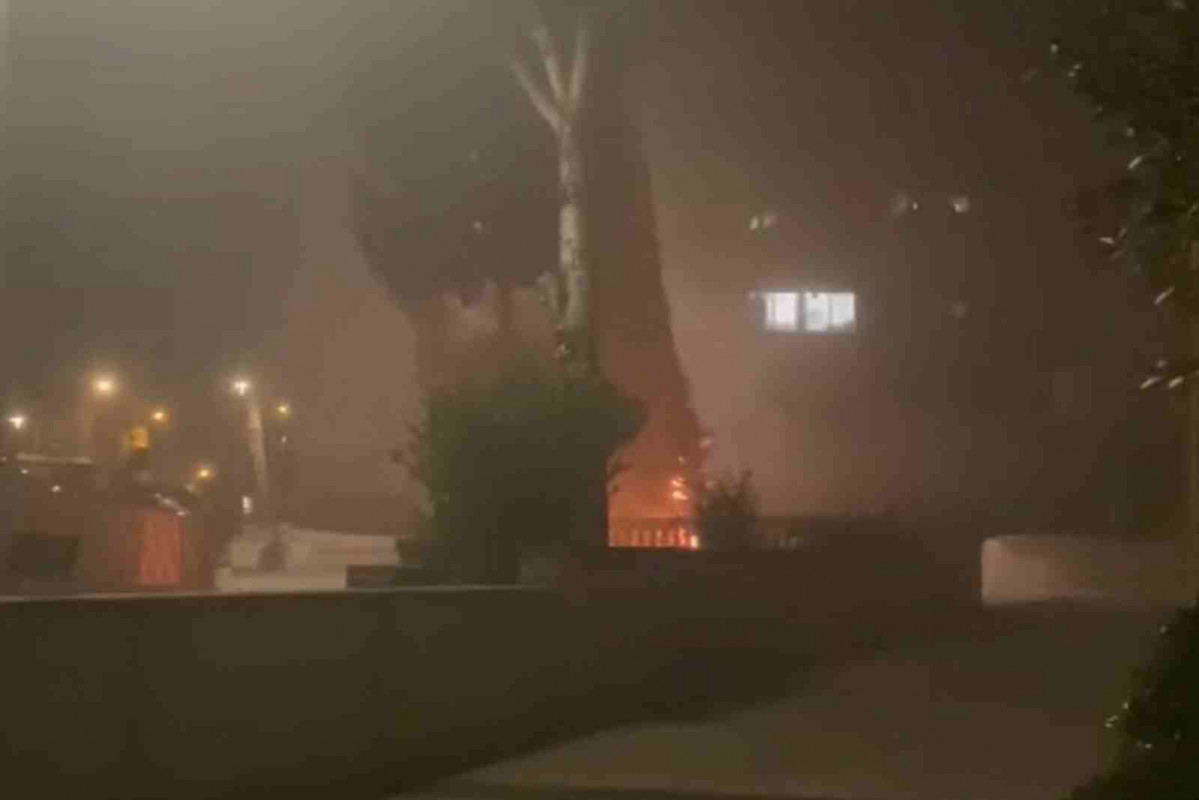 Incendio de un árbol de Navidad en L'Hospitalet   Vecino de los bloques en X