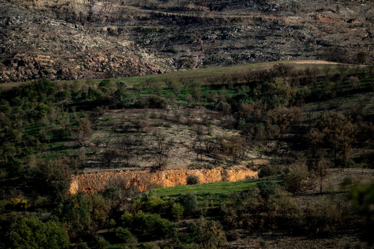 Catalunya destina 4,7 millones a ayudas en gestión forestal y prevención de incendios