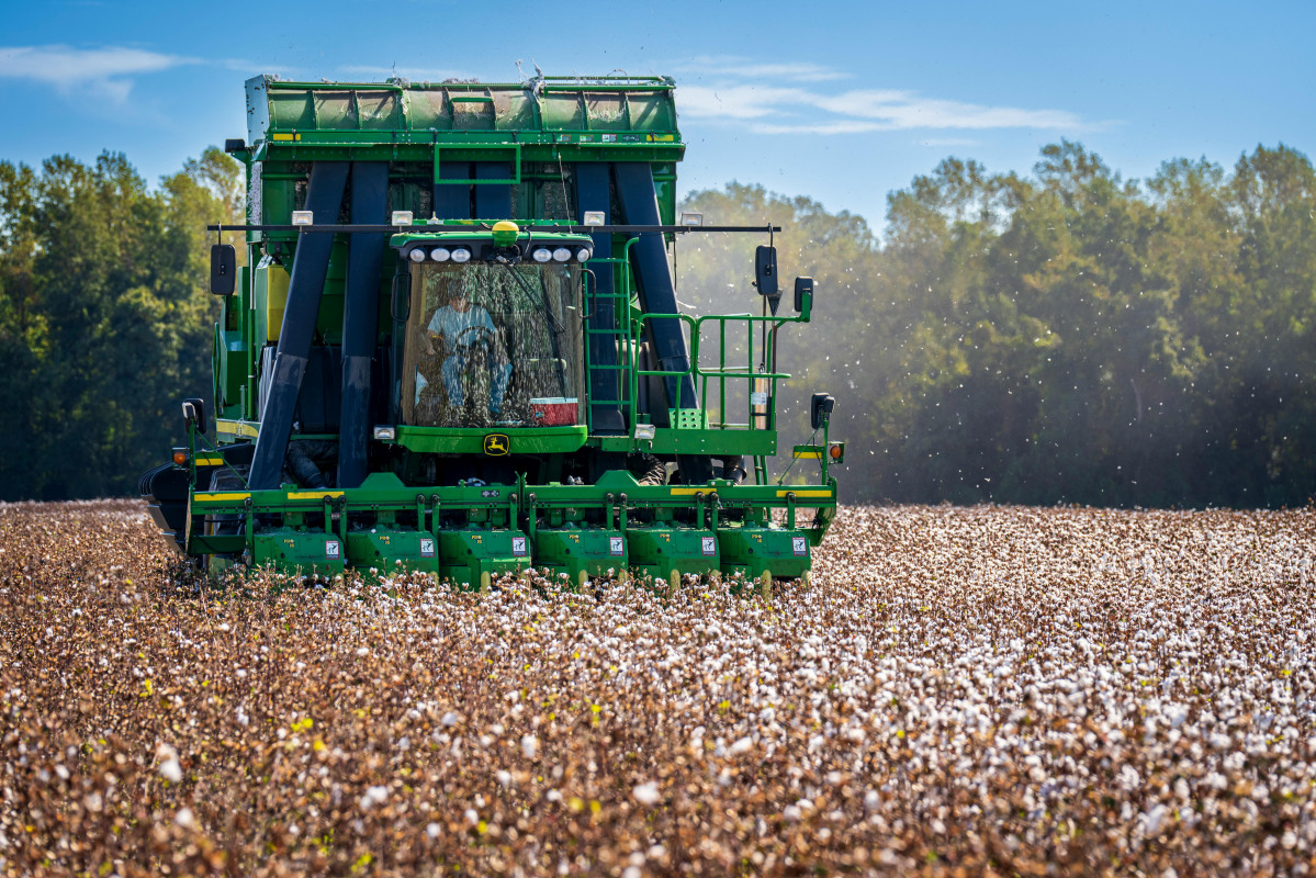 Pexels nc farm bureau mark 13924886