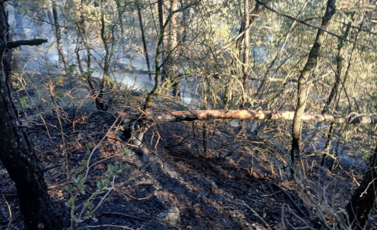 Los Bombers logran extinguir un incendio de vegetación en Osona