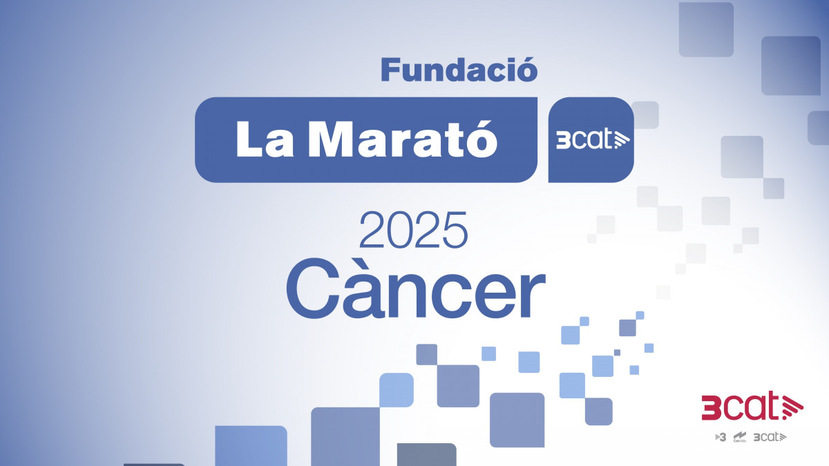 EuropaPress 6496300 marato 2025 centrara cancer