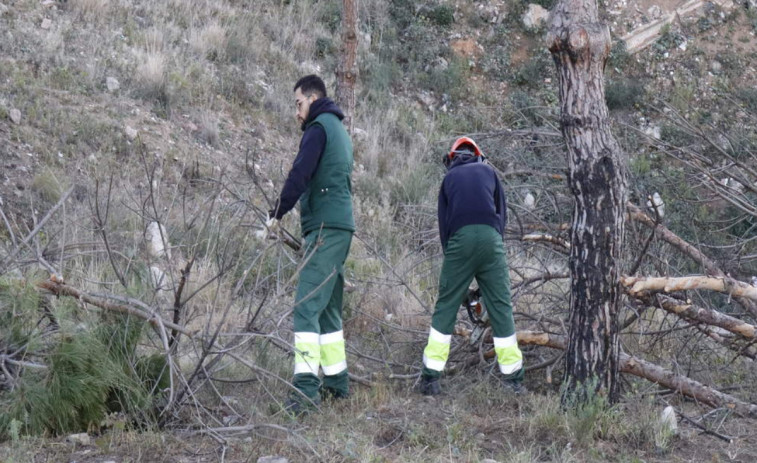 Prevención de incendios forestales: Santa Coloma de Gramenet empieza la limpieza de los bosques