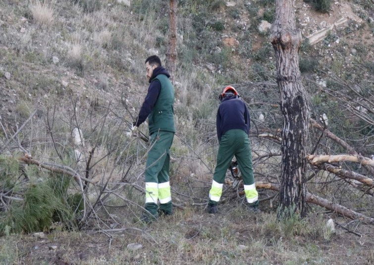 Prevención de incendios forestales: Santa Coloma de Gramenet empieza la limpieza de los bosques