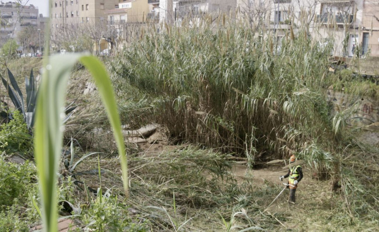 Comienza en Mataró la renaturalización de la riera de Sant Simó para convertirla en una nueva zona verde