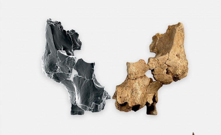 Científicos catalanes hallan en Atapuerca la cara humana más antigua conocida de Europa occidental