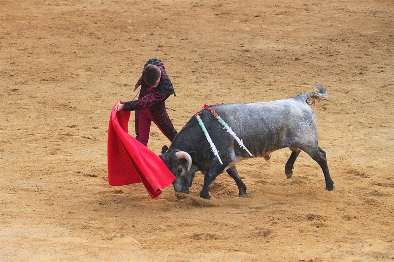 Torero