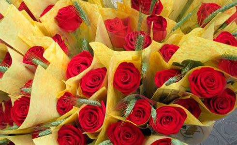 Rosas de Sant Jordi